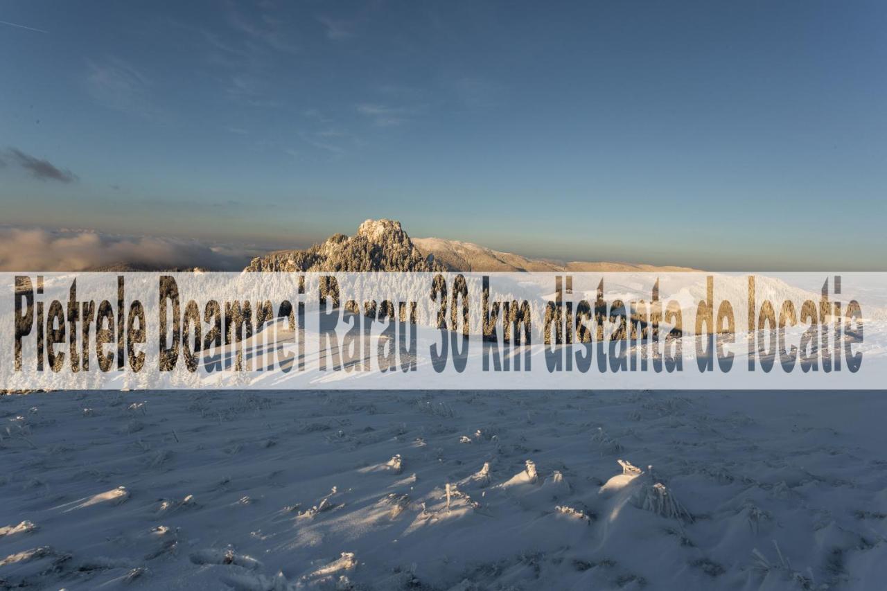 Casa De Vacanta Armi Molidu Zewnętrze zdjęcie