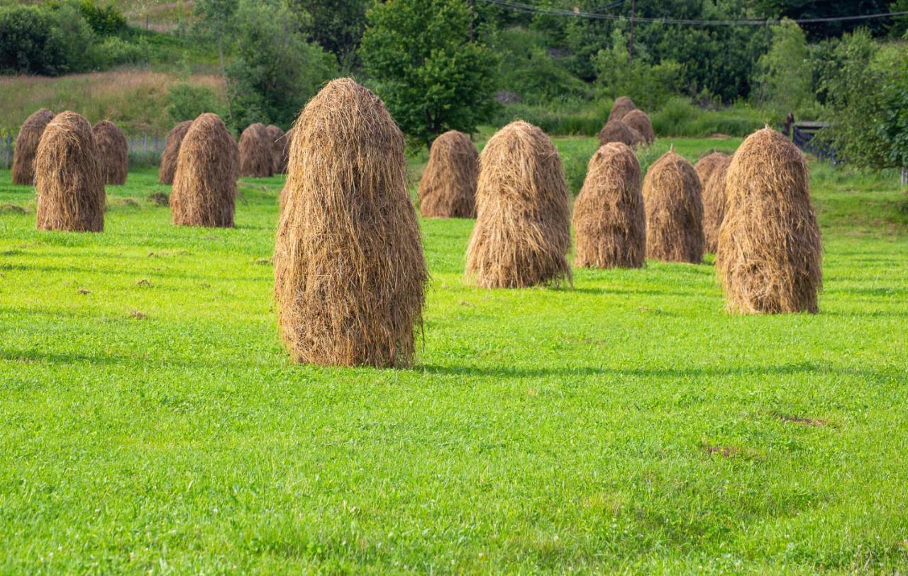 Casa De Vacanta Armi Molidu Zewnętrze zdjęcie