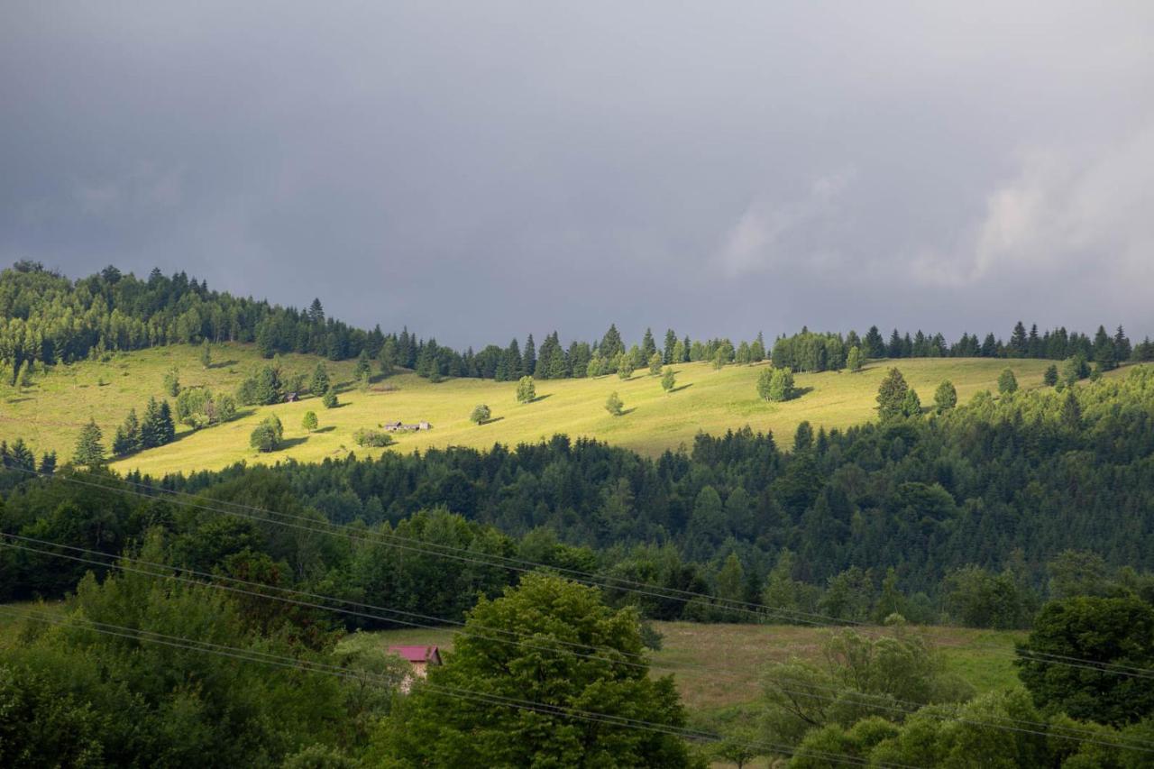 Casa De Vacanta Armi Molidu Zewnętrze zdjęcie