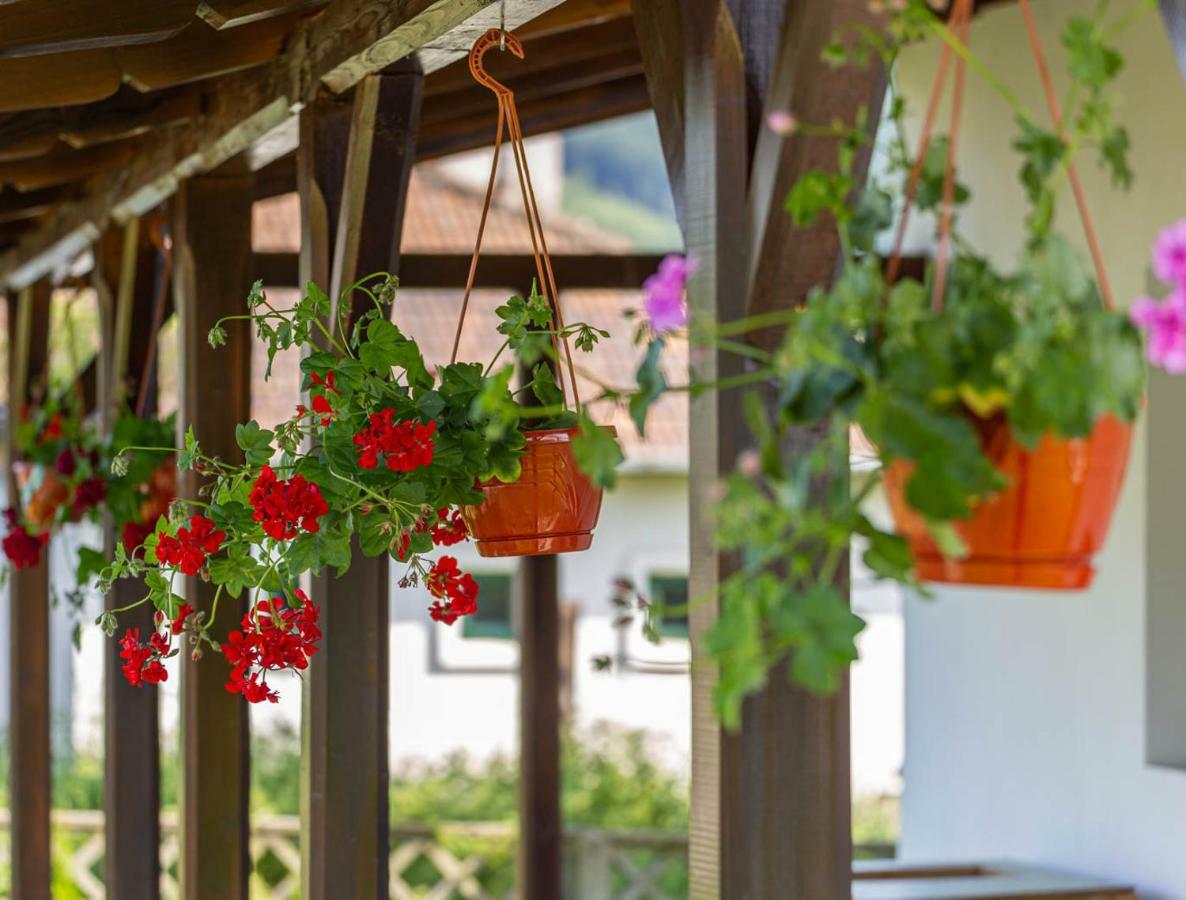 Casa De Vacanta Armi Molidu Zewnętrze zdjęcie