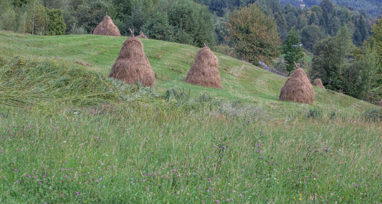 Casa De Vacanta Armi Molidu Zewnętrze zdjęcie